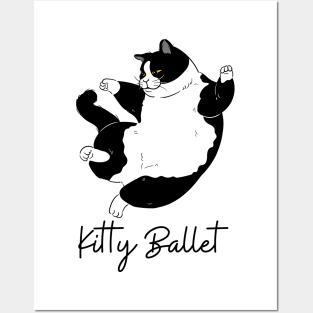 Funny Cat Ballet Dancer Posters and Art